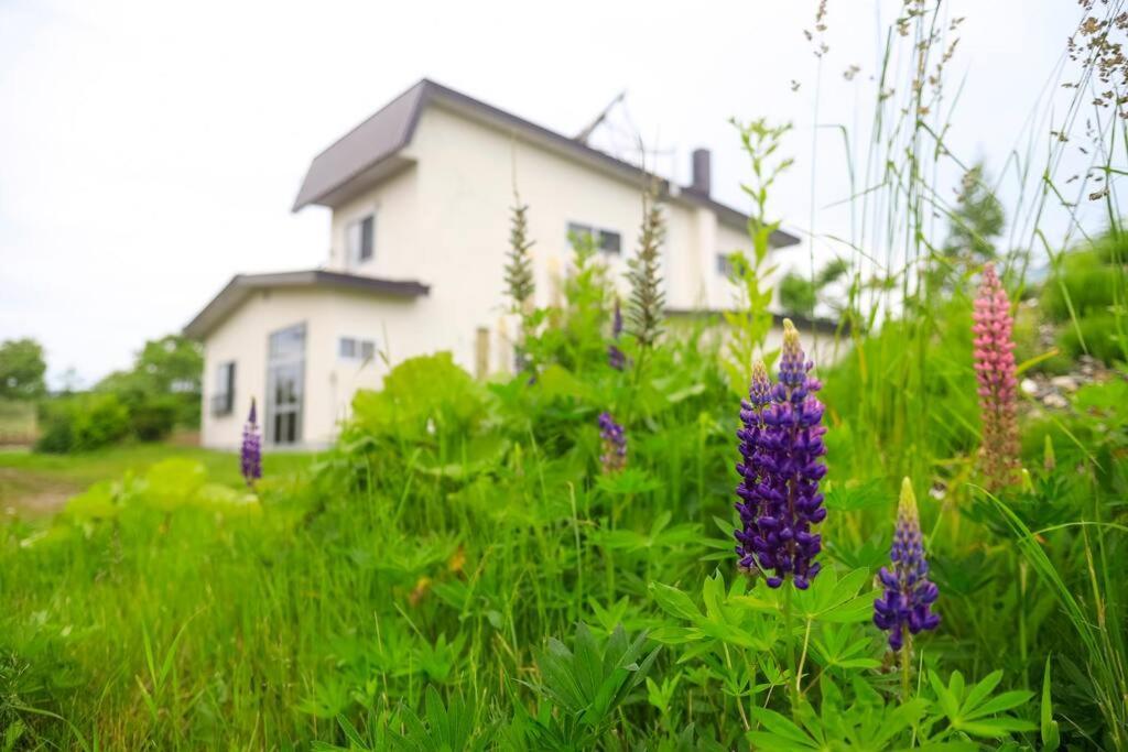 Cottage 아바시리 외부 사진